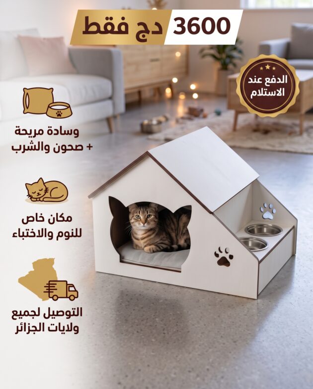 بيت خاص لراحة قطتك 🐱